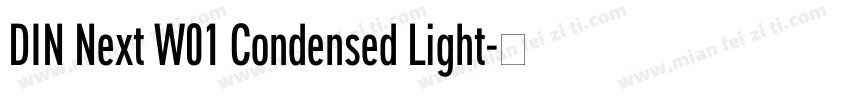 DIN Next W01 Condensed Light字体转换
